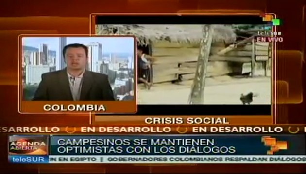 Gobierno y labriegos del Catatumbo sin acuerdo sobre cultivos ilícitos