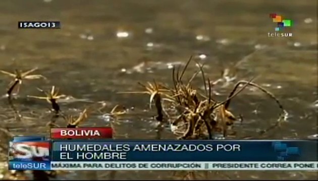 Bolivia tramita proyecto de Ley para preservar los humedales