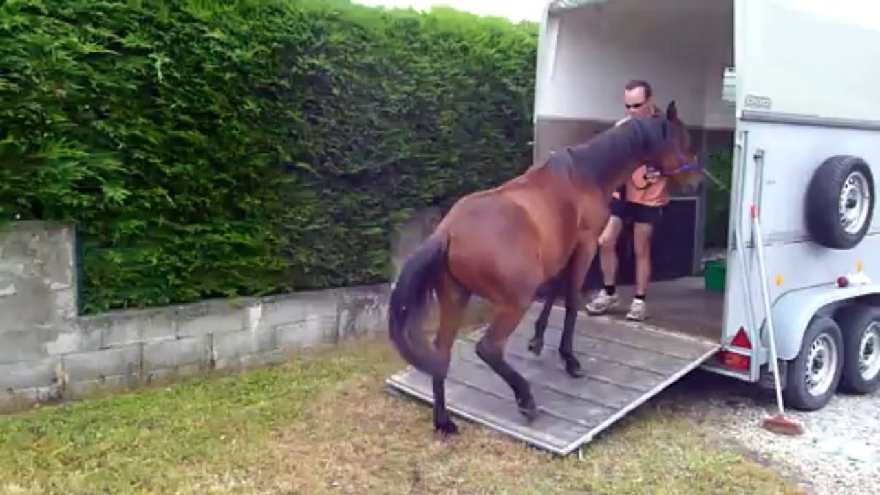 Caïdan - Apprentissage de la monte en van