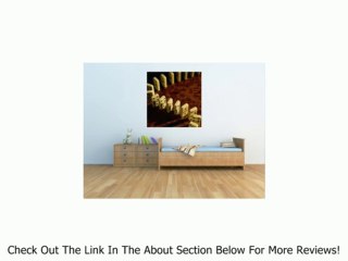 Falling Dominoes - 72"H x 48"W - Peel and Stick Wall Decal by Wallmonkeys Review