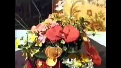 - BOCSÁSSA MEG, HOGY JELENTKEZEM - Cseh Judit -