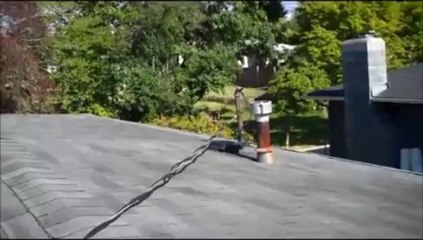 Electric and Roof, Safety Hazard by Seattle Home Inspector