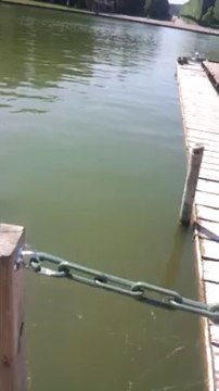 15 carpes de 20 kilos dans un lac . ( première vidéo )