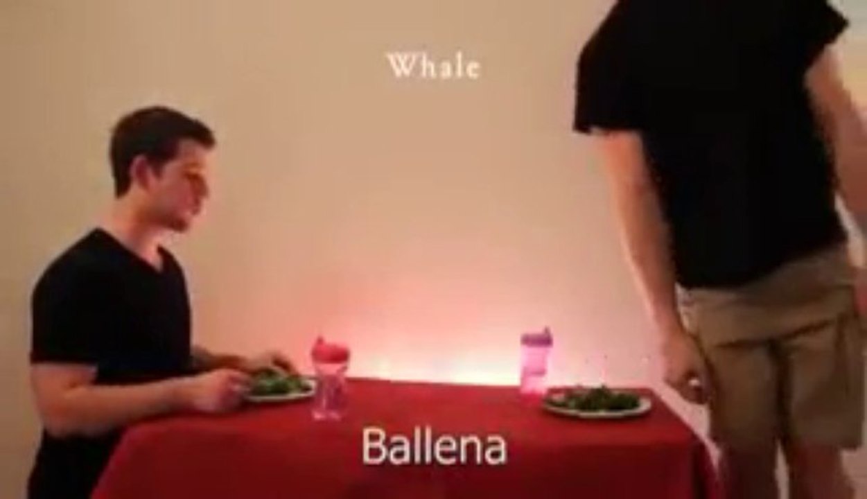 como comen los animales