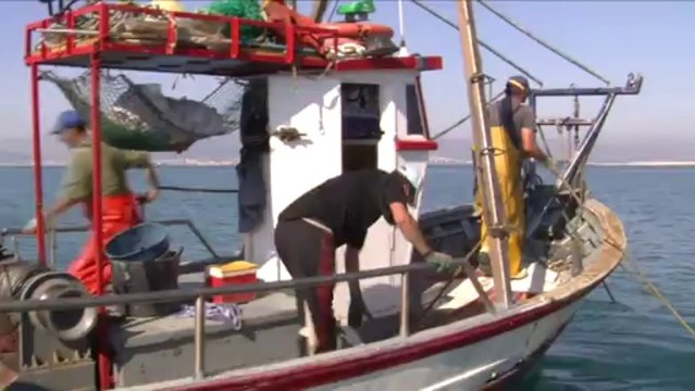 Spanish fishermen comment on the ongoing Gibraltar row