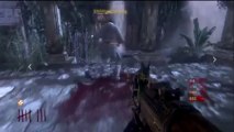 New! Black Ops Zombies: Shangri La - MAJOR Easter Egg Part 3 Solved: Pressure Plate