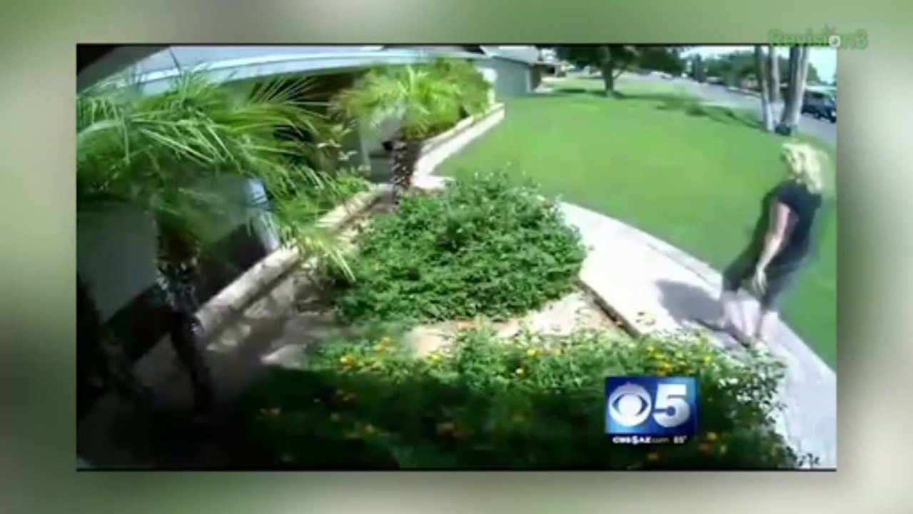 FREE Rebekah the Raccoon, Help an Amazon Victim, Plus: Milk Wants You Dead - Annie's Bits