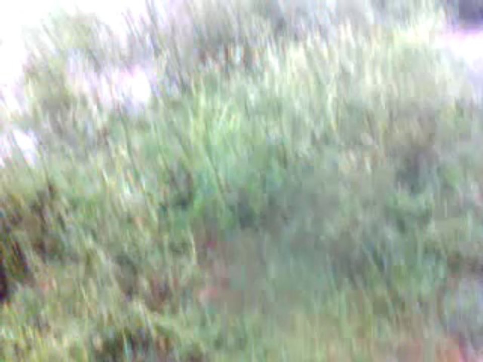 flood in pasrur sialkot