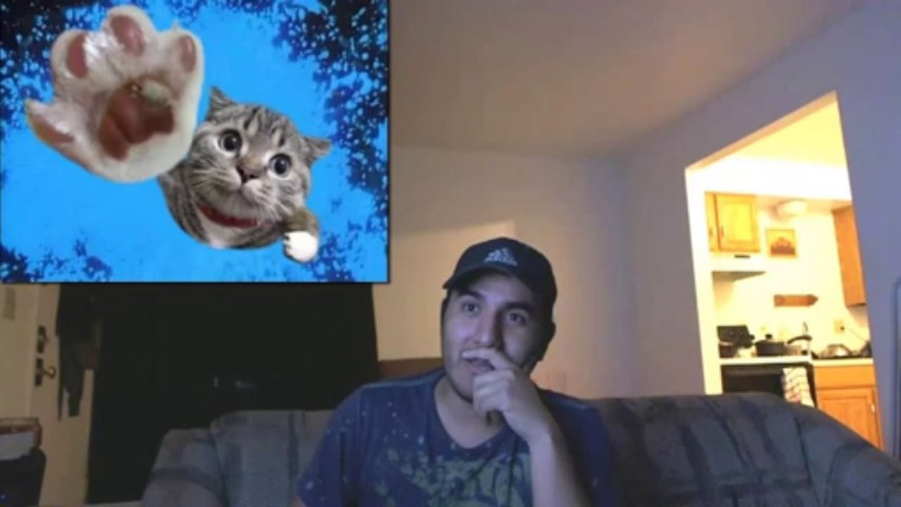 El gato Volador