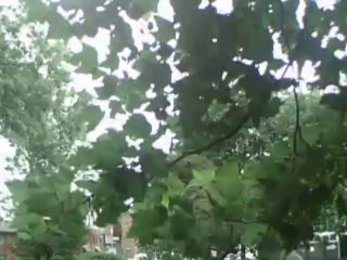 rembering the actor david hemmings at ardwick green park manchester uk