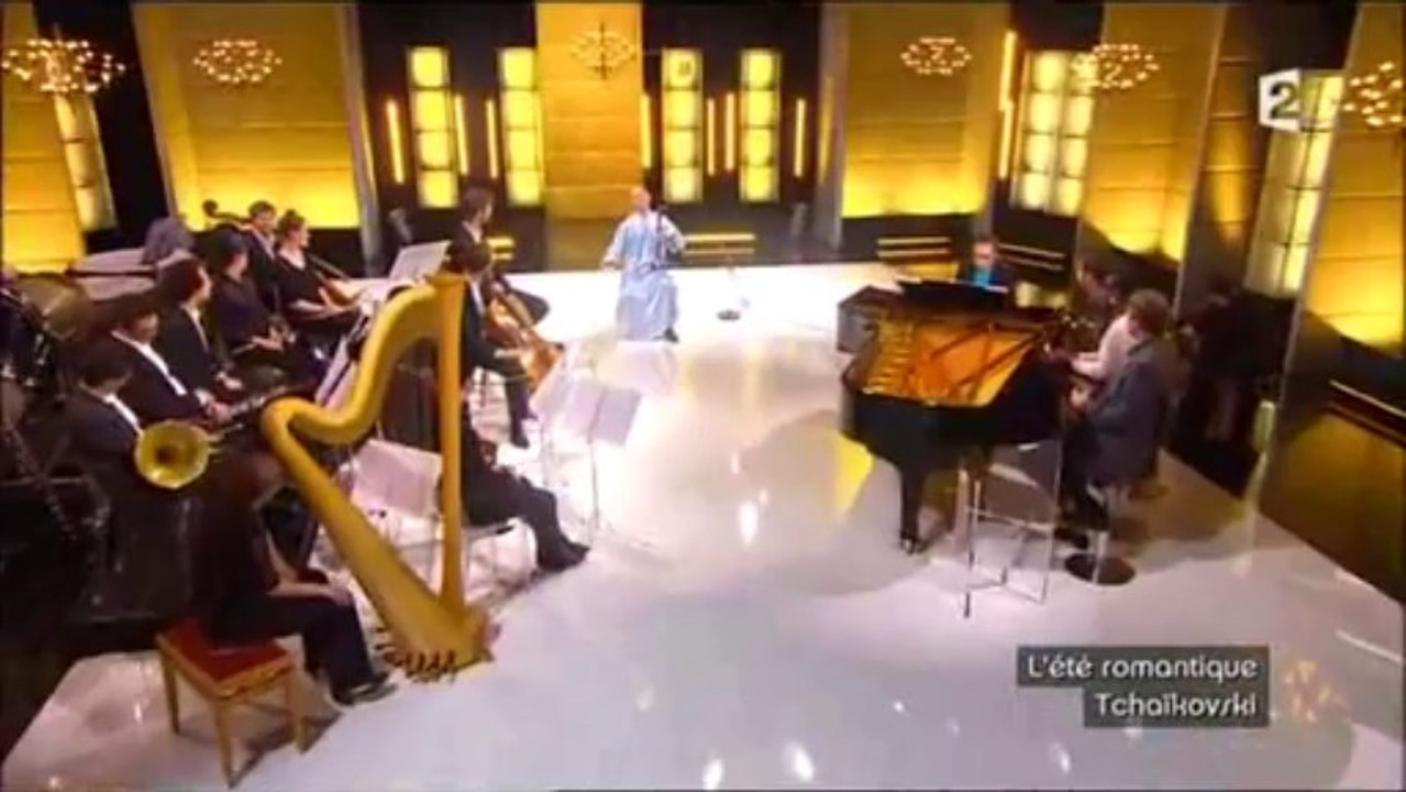 L'instrument rare-Le violon chinois