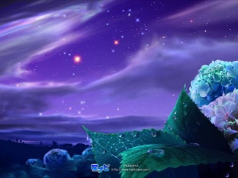 라이브바카라 wowow7.com 인터넷바카라사이트