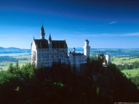 바카라군단 wowow7.com 라이브바카라