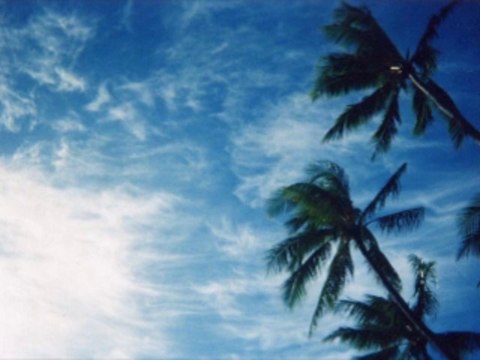 바카라사이트 wowow7.com 온라인바카라