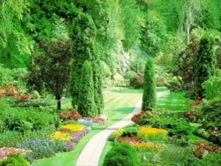 바카라사이트 wowow7.com 인터넷바카라