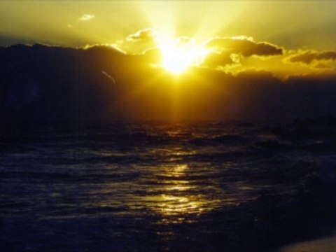 바카라사이트 wowow7.com 인터넷카지노