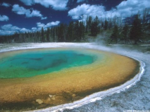 생방송바카라 wowow7.com 인터넷카지노