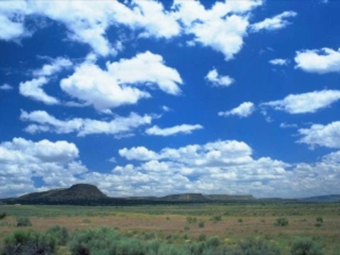 생방송카지노 wowow7.com 인터넷바카라