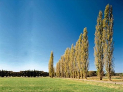 카지노게임 wowow7.com 라이브카지노