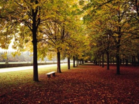 카지노게임 wowow7.com 온라인카지노