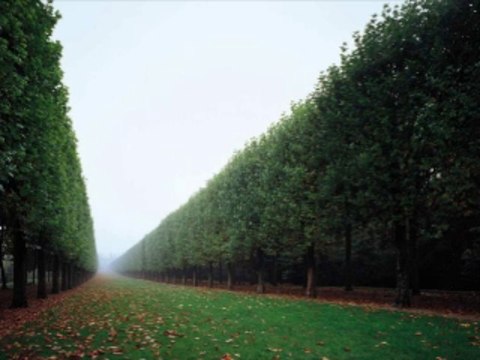 카지노게임 wowow7.com 인터넷바카라