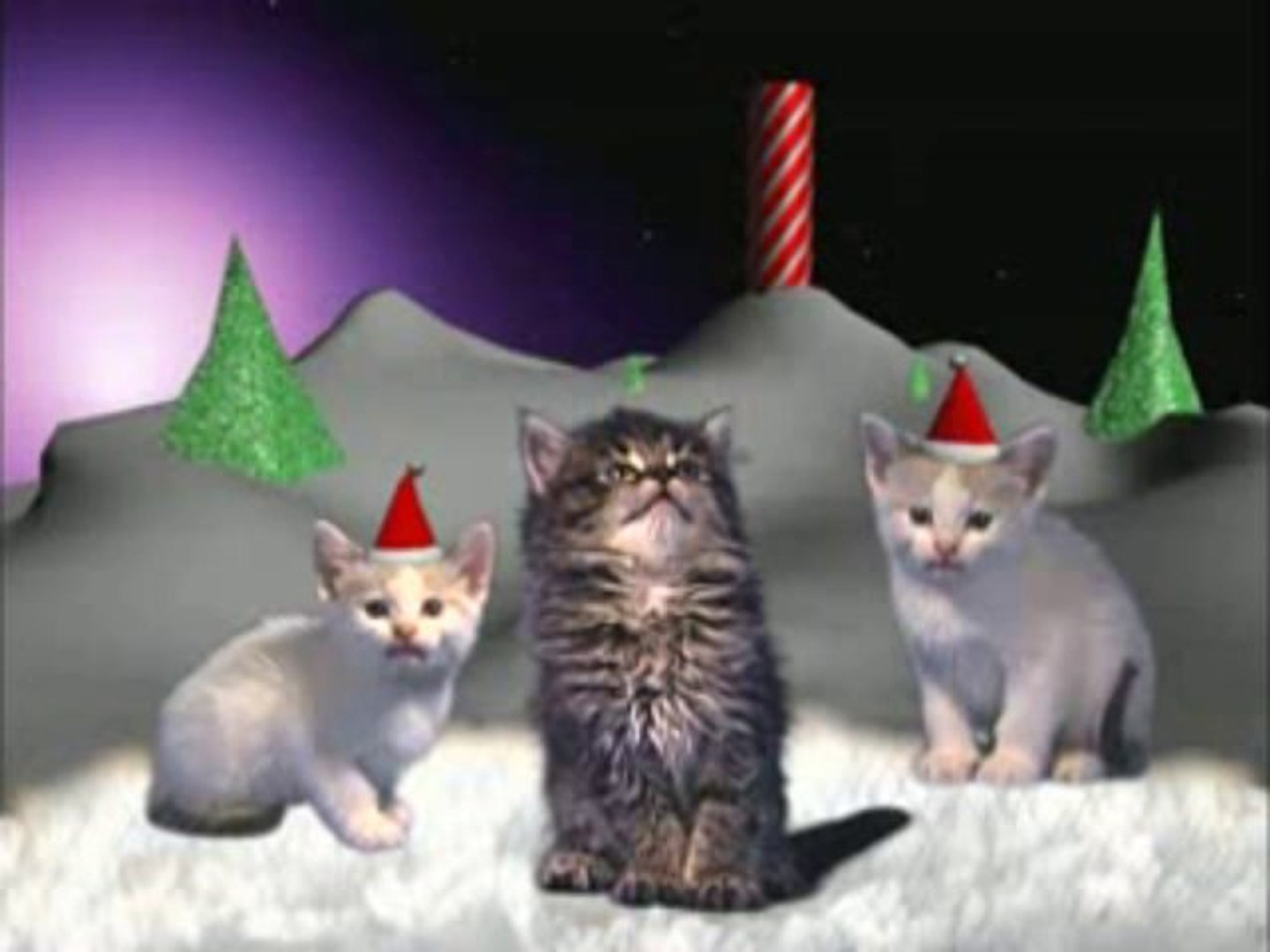 Joyeux Noel Presente Par Des Chats Video Dailymotion