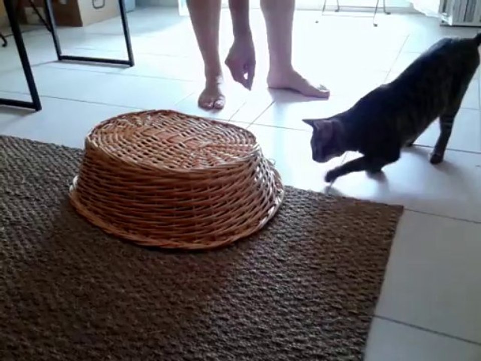 VID_20130817_143503