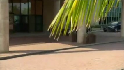 Luka Ribeiro em FLOR DO CARIBE