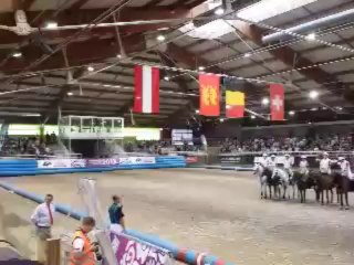 NHS: le horse-ball, c'est parti!