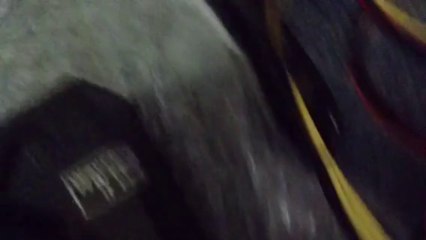 IMG_0014