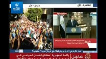 صحفي فرنسي يكذب المتحدث الرسمي للرئاسة المصرية