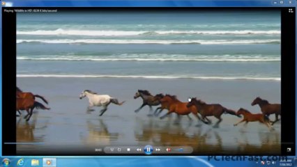 Windows Media Player Overview