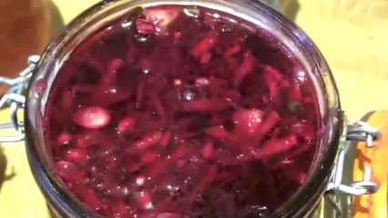 My various fermentation kitchen experiments