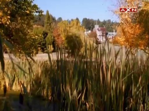 Seven Days 2x09 Amore E Altri Disastri