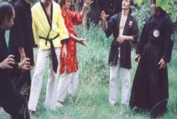 Steve Linnegar`s Shakeshed."Tao Ch`ang Wu Wei"1982 S.Africa.