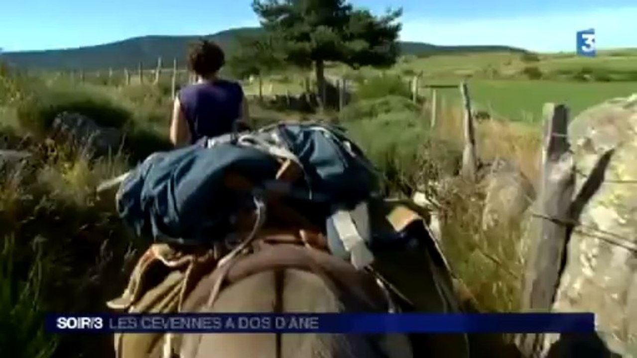 Les Cévennes à dos d'âne