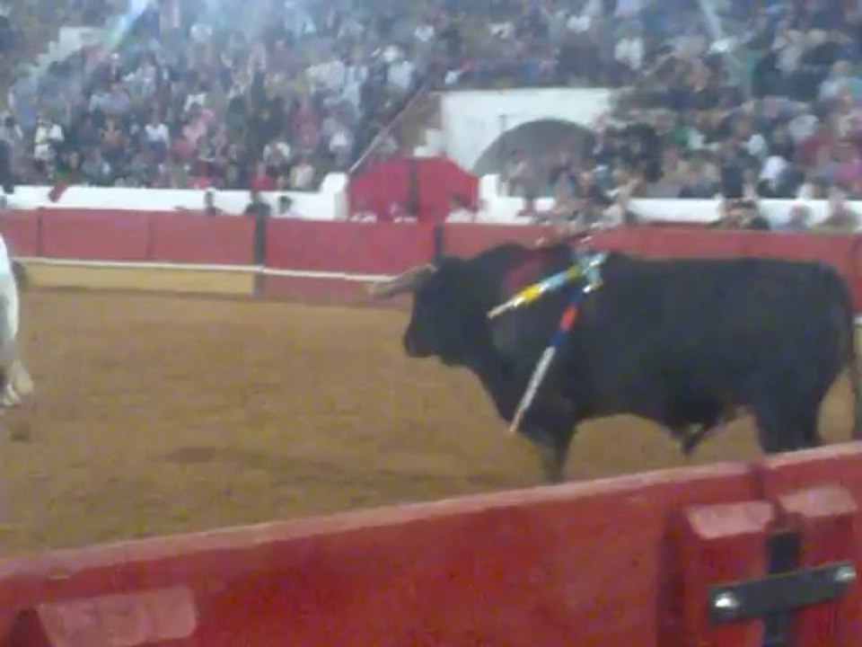 MIGUEL MOURA EXCERTO DA ULTIMA LIDE EM TOMAR A UM TOIRO DE FRANCISCO ROMÃO TENÓRIO