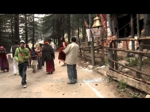 Alms for the Sadhus, blessings from the Goddess