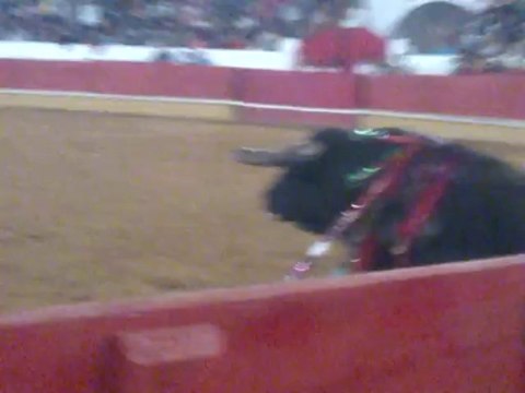 PEDRO MIGUEL SOUSA AMADORES DE TOMAR PEGA TOIRO DE FRANCISCO ROMÃO TENÓRIO EM TOMAR