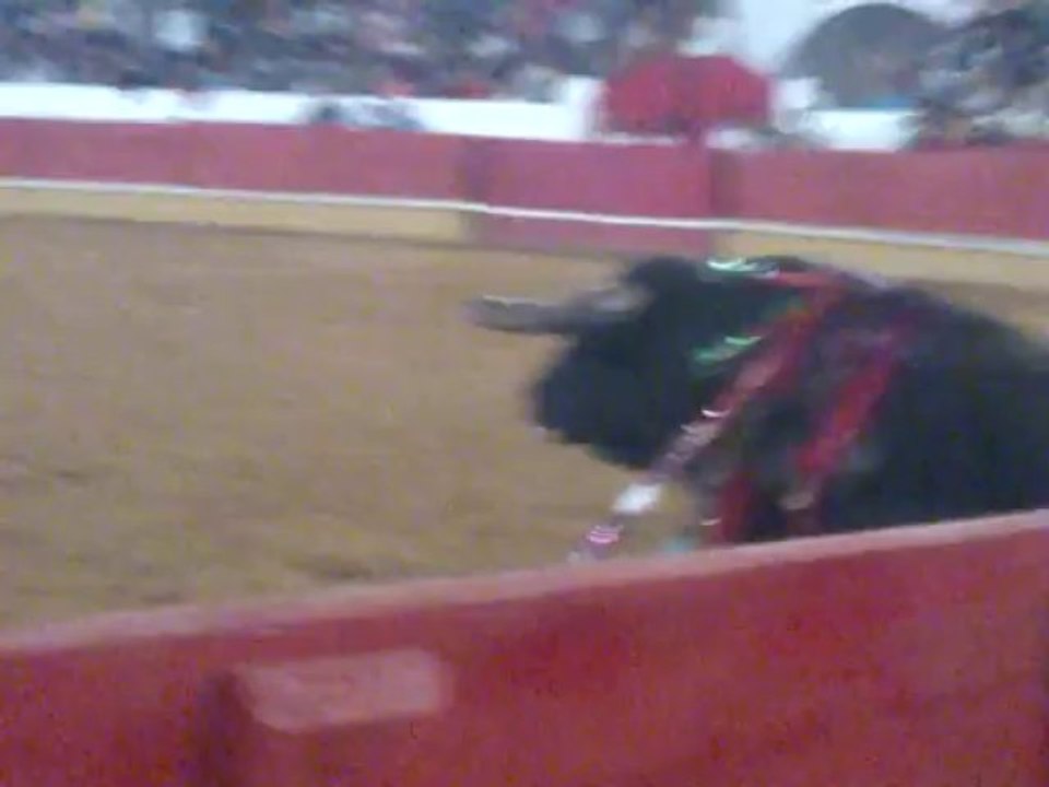 PEDRO MIGUEL SOUSA AMADORES DE TOMAR PEGA TOIRO DE FRANCISCO ROMÃO TENÓRIO EM TOMAR