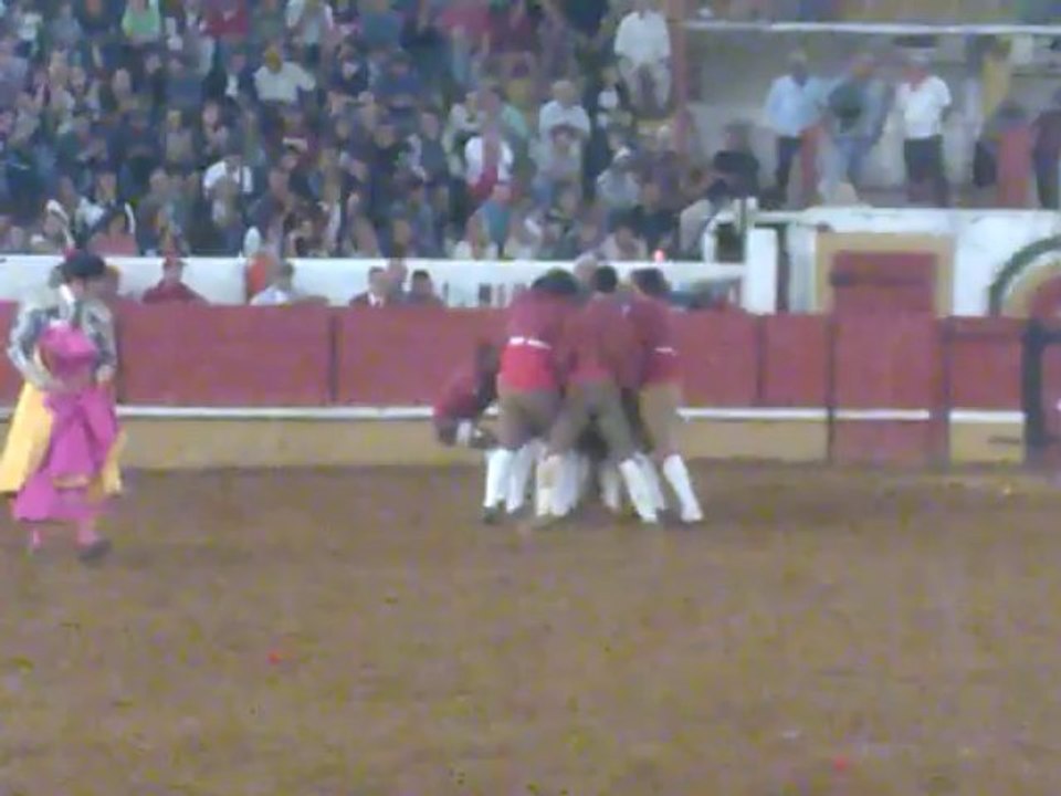 JOÃO OLIVEIRA (STREET) AMADORES DE TOMAR PEGA TOIRO DE FRANCISCO ROMÃO TENÓRIO EM TOMAR