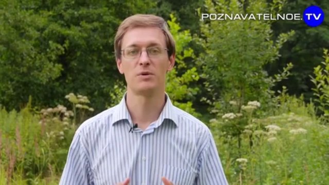 Бизнес на детях в масштабах всей России