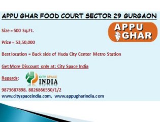 Commercial project^^Appu Ghar Sector 29^9873687898^Gurgaon
