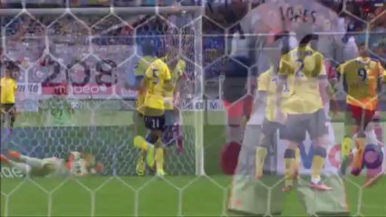 But Ryad BOUDEBOUZ (4ème pen) - FC Sochaux-Montbéliard - Olympique Lyonnais (1-3) - 2013/2014