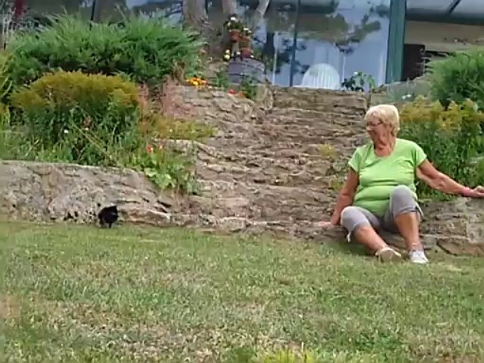 La Corneille d'Arthel