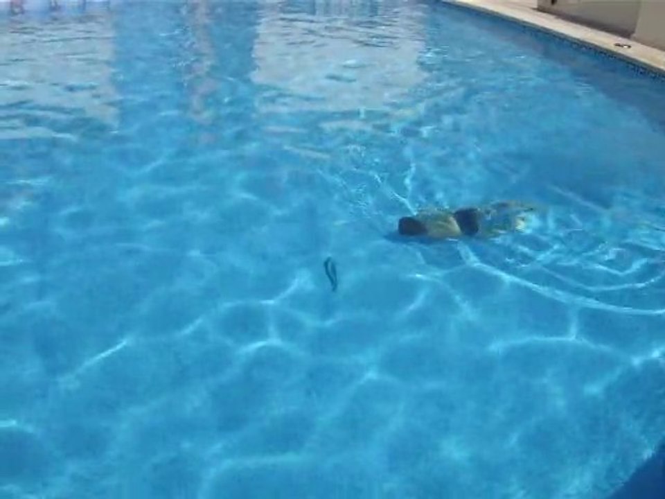 Pêche sub-aquatique des anneaux