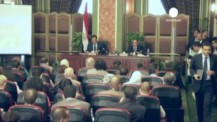 Egitto: ministro Esteri attacca media stranieri "non...