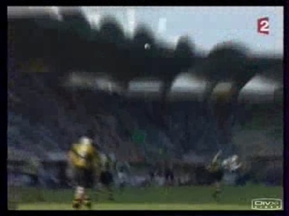 USAP - Wasps ~ X'Touch