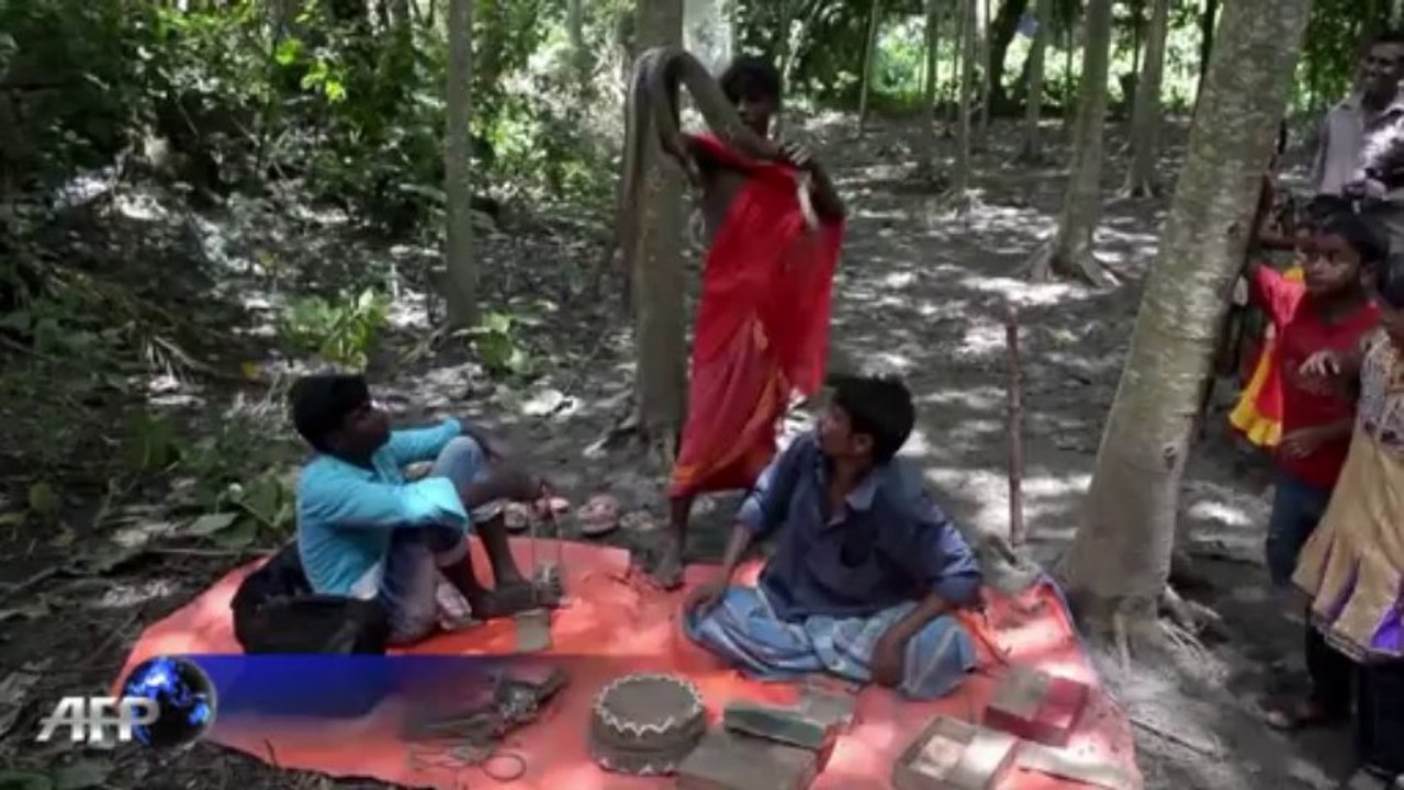 En Inde, un festival de charmeurs de serpents très couru