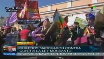 Repudian chilenos Ley Monsanto atenta contra derechos de campesinos